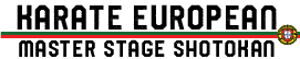 European Karate Stage